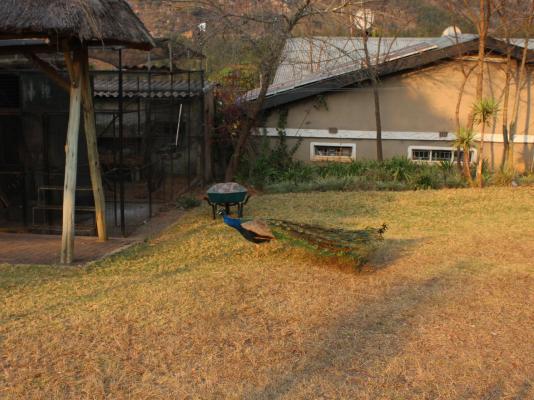 Emahlathini Guest Farm - 250695