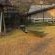Emahlathini Guest Farm - 250695