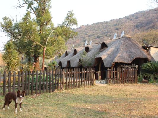 Emahlathini Guest Farm - 250699