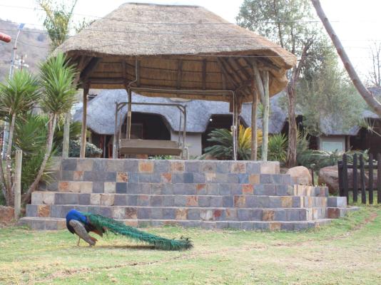 Emahlathini Guest Farm - 250700