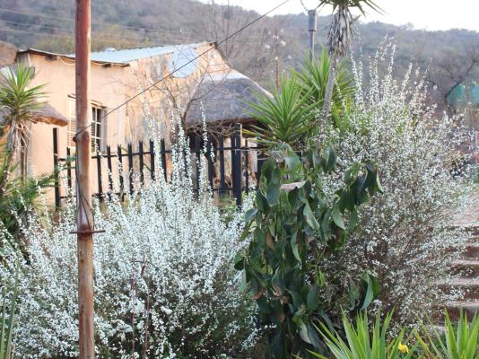 Emahlathini Guest Farm - 250702