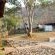Emahlathini Guest Farm - 250705