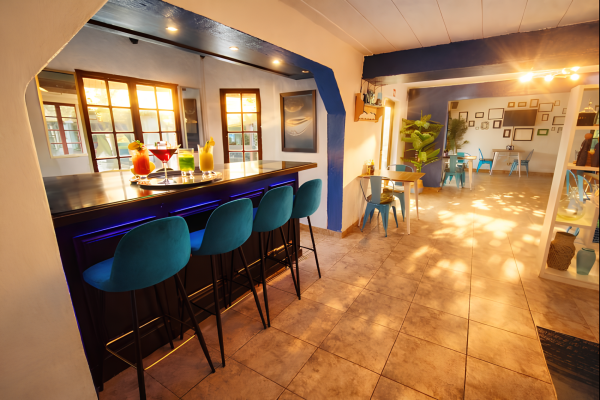 The Villa Manor & Spa - 250735