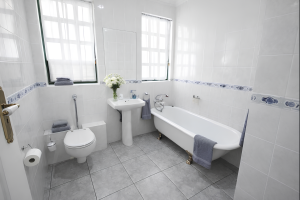 The Villa Manor & Spa - 250750