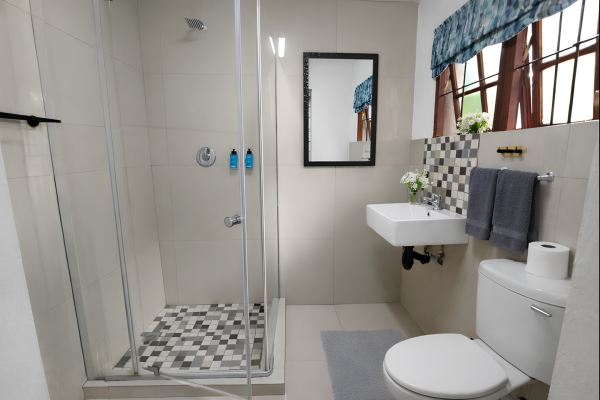 The Villa Manor & Spa - 250758