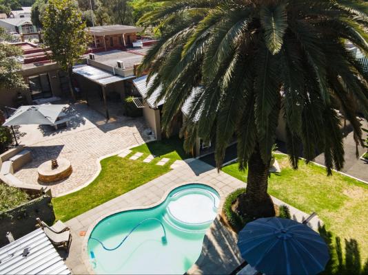 Bosveld In Die Stad 2 - 251038