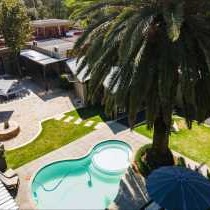 Bosveld In Die Stad 2 - 251038