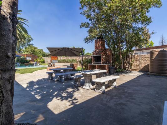 Bosveld In Die Stad 2 - 251042