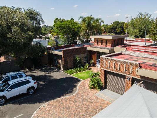 Bosveld In Die Stad 2 - 251043