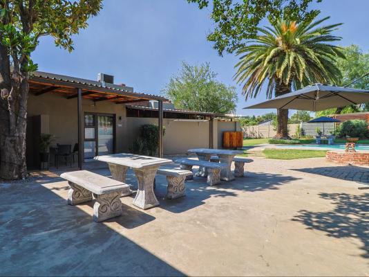 Bosveld In Die Stad 2 - 251044