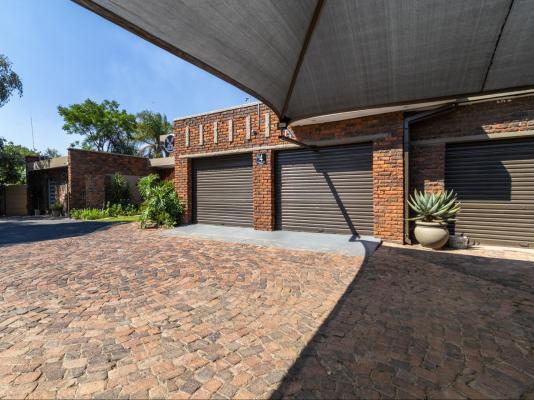 Bosveld In Die Stad 2 - 251053