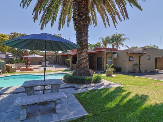 Bosveld In Die Stad 2 - 251059