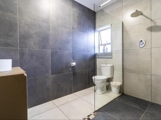 Bosveld In Die Stad 2 - 251065