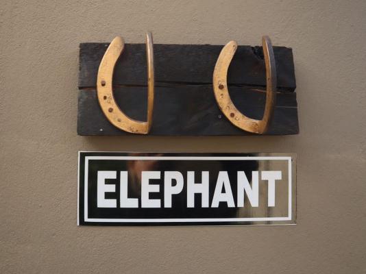 Bosveld In Die Stad 2 - 251068