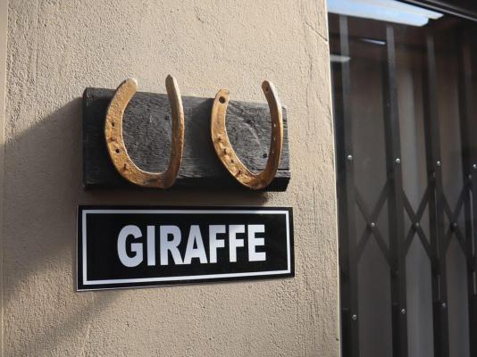 Bosveld In Die Stad 2 - 251076