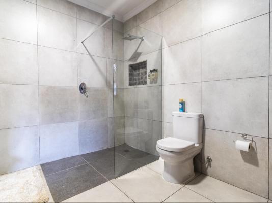 Bosveld In Die Stad 2 - 251133