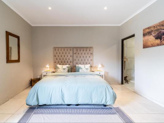 Bosveld In Die Stad 2 - 251134