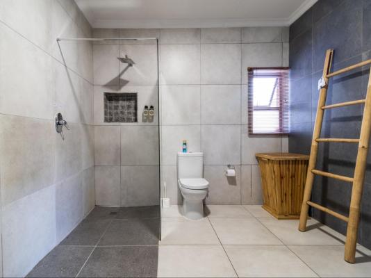 Bosveld In Die Stad 2 - 251136