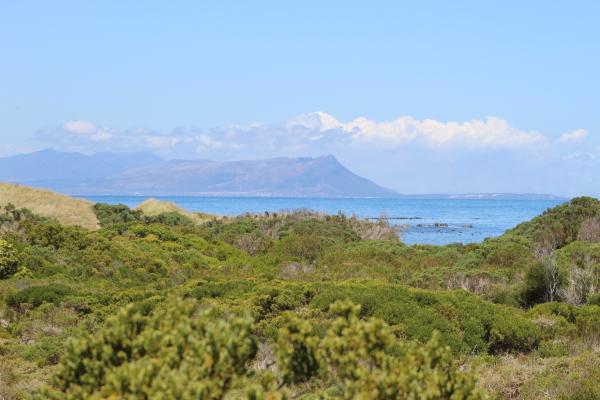 Betty's Bay Cottage - 251169