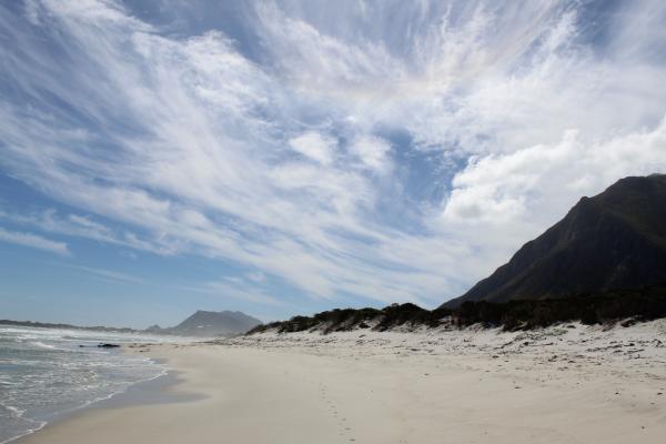 Betty's Bay Cottage - 251173