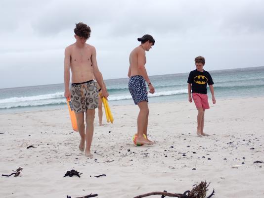 Betty's Bay Cottage - 251182