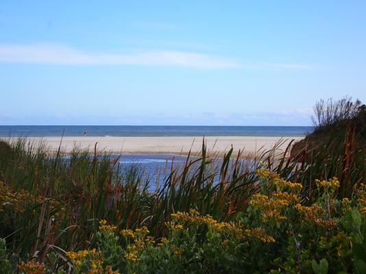 Betty's Bay Cottage - 251184