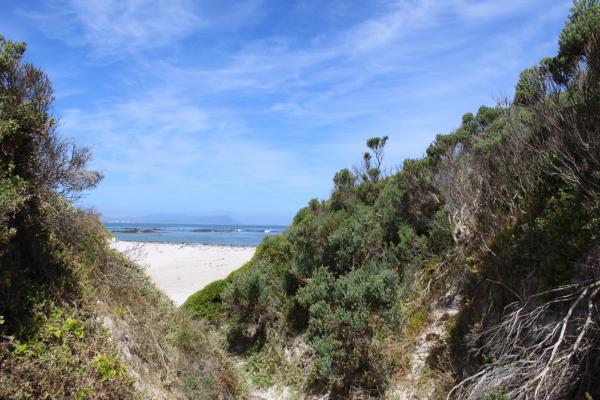 Betty's Bay Cottage - 251188