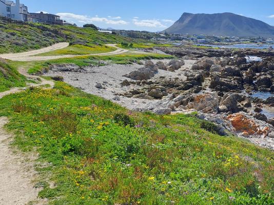 Southern Right Guest House - 251194