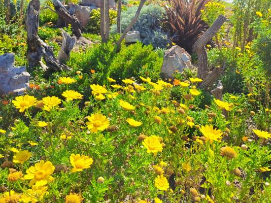 Southern Right Guest House - 251195