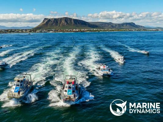 Southern Right Guest House - 251201