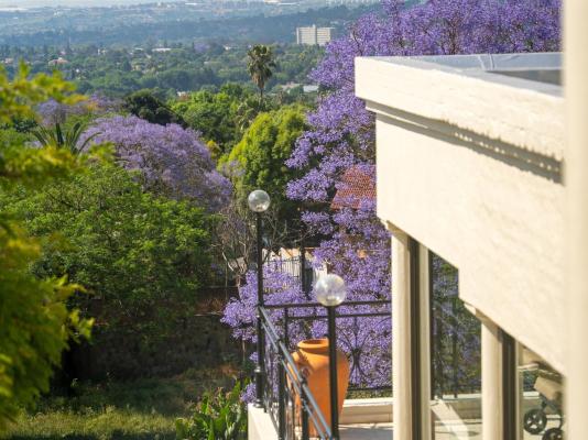 Oniro Guest House - 251291