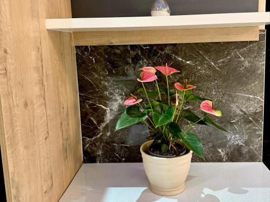 Deluxe Nest Windhoek - 251381