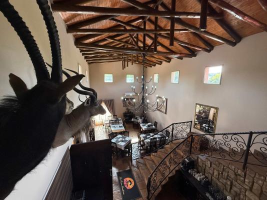 The Orion Guest House - 251383