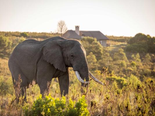 Gondwana Game Reserve  - 251430