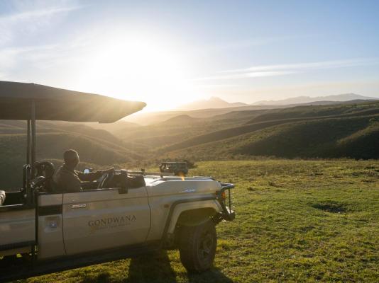 Gondwana Game Reserve  - 251433