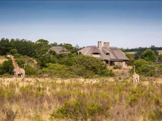Gondwana Game Reserve  - 251475