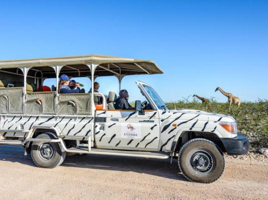 Etosha Safari Lodge - 251567