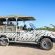 Etosha Safari Lodge - 251567