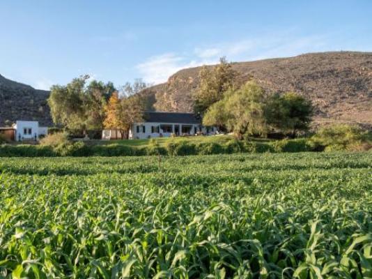 Daniel's Kraal Guest Farm - Property / Building