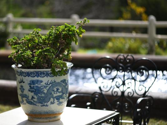 Daniel's Kraal Guest Farm - 251854