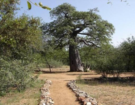 Walking trail from establishment