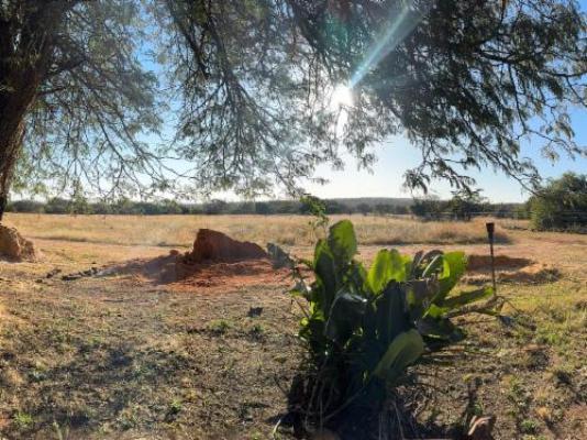 Impala Game Ranch - Natural landscape