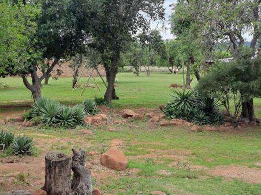 Impala Game Ranch - 252227