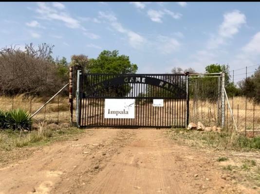 Impala Game Ranch - 252228