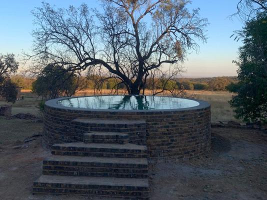 Impala Game Ranch - 252233