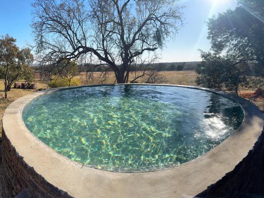 Impala Game Ranch - 252243