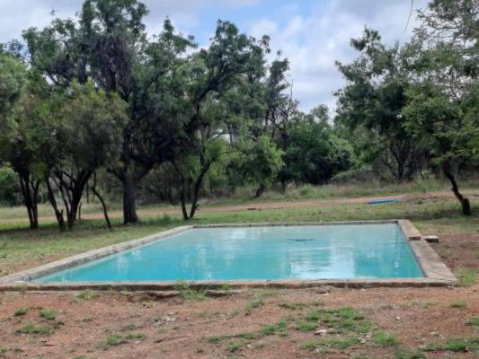 Impala Game Ranch - 252260