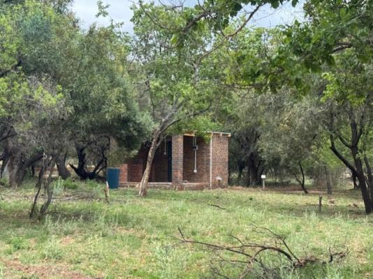 Impala Game Ranch - 252263