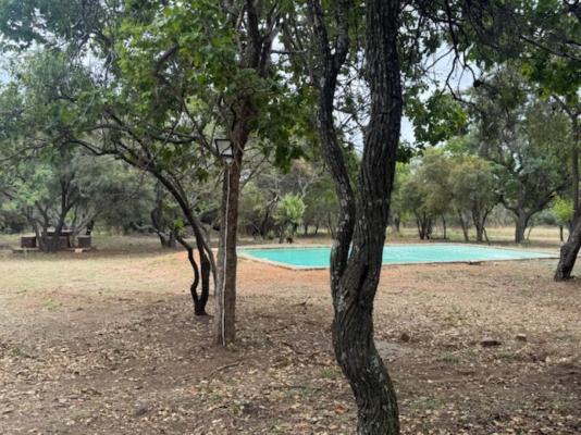 Impala Game Ranch - 252266