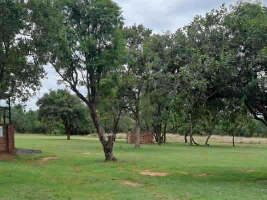 Impala Game Ranch - 252268